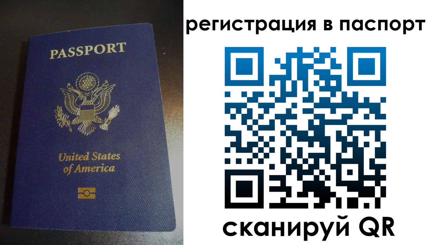 прописка для школы в Невеле